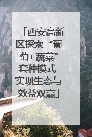 西安高新区探索“葡萄+蔬菜”套种模式 实现生态与效益双赢