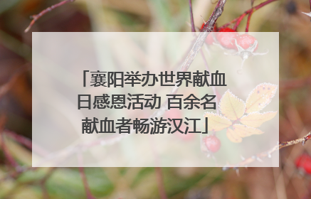襄阳举办世界献血日感恩活动 百余名献血者畅游汉江