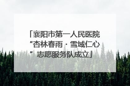 襄阳市第一人民医院“杏林春雨・雪域仁心”志愿服务队成立