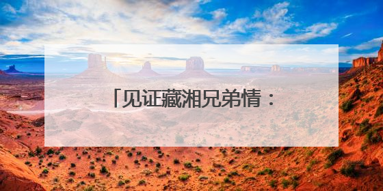 见证藏湘兄弟情：西藏山南特色产品亮相第四届中国-非洲经贸博览会