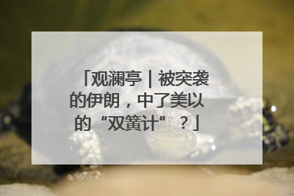 观澜亭｜被突袭的伊朗，中了美以的“双簧计”？