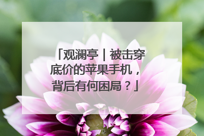 观澜亭｜被击穿底价的苹果手机，背后有何困局？