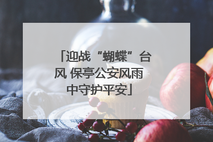 迎战“蝴蝶”台风 保亭公安风雨中守护平安