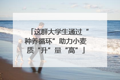 这群大学生通过“种养循环”助力小麦质“升”量“高”