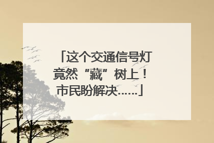 这个交通信号灯竟然“藏”树上！市民盼解决……