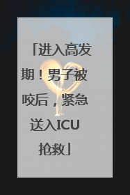 进入高发期！男子被咬后，紧急送入ICU抢救