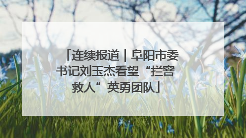 连续报道｜阜阳市委书记刘玉杰看望“拦窨救人”英勇团队
