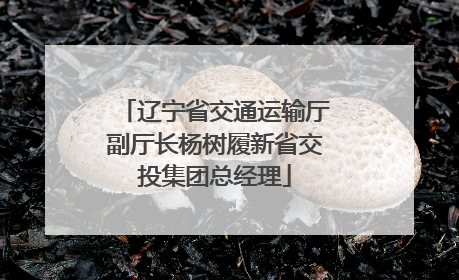 辽宁省交通运输厅副厅长杨树履新省交投集团总经理