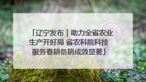 辽宁发布｜助力全省农业生产开好局 省农科院科技服务春耕备耕成效显著