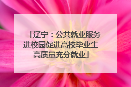辽宁：公共就业服务进校园促进高校毕业生高质量充分就业