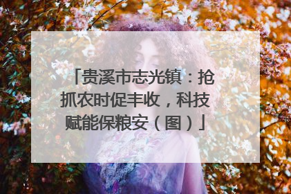 贵溪市志光镇：抢抓农时促丰收，科技赋能保粮安（图）