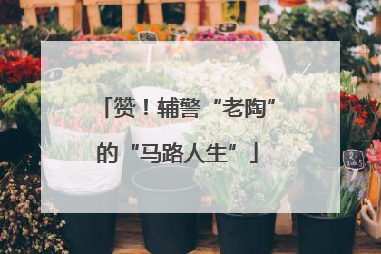赞！辅警“老陶”的“马路人生”