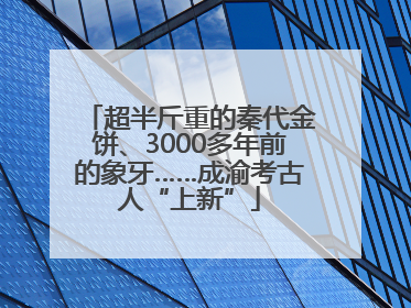 超半斤重的秦代金饼、3000多年前的象牙……成渝考古人“上新”