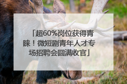 超60%岗位获得青睐！微短剧青年人才专场招聘会圆满收官