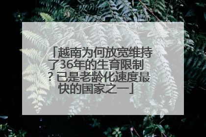 越南为何放宽维持了36年的生育限制？已是老龄化速度最快的国家之一