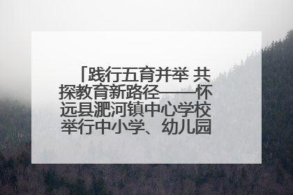 践行五育并举 共探教育新路径——怀远县淝河镇中心学校举行中小学、幼儿园班主任论坛活动