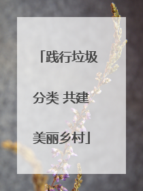 践行垃圾分类 共建美丽乡村