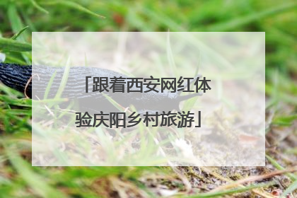 跟着西安网红体验庆阳乡村旅游