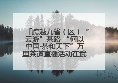 跨越九省（区）“云游”茶路 “何以中国·茶和天下”万里茶道直播活动在武夷山启动