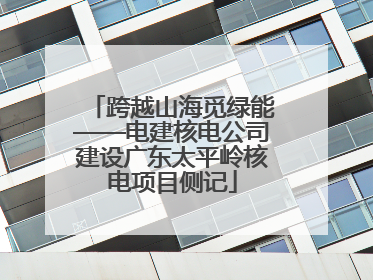 跨越山海觅绿能——电建核电公司建设广东太平岭核电项目侧记
