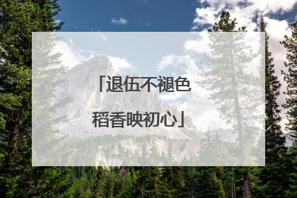 退伍不褪色 稻香映初心
