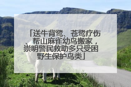 送牛背鹭、苍鹭疗伤、帮山麻雀幼鸟搬家，崇明警民救助多只受困野生保护鸟类