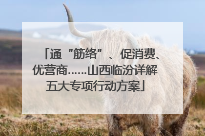 通“筋络”、促消费、优营商……山西临汾详解五大专项行动方案