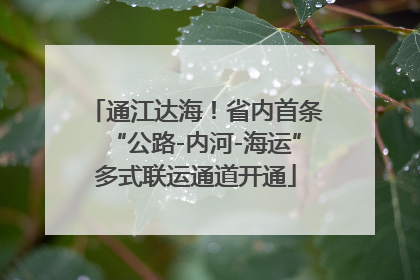通江达海！省内首条“公路-内河-海运”多式联运通道开通