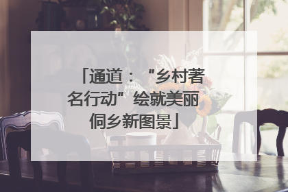 通道：“乡村著名行动”绘就美丽侗乡新图景