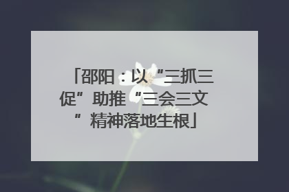 邵阳：以“三抓三促”助推“三会三文”精神落地生根