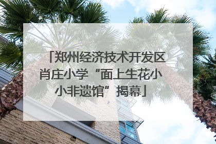 郑州经济技术开发区肖庄小学“面上生花小小非遗馆”揭幕