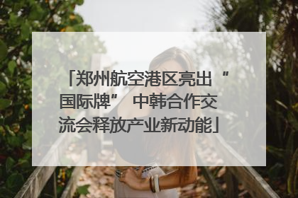 郑州航空港区亮出“国际牌” 中韩合作交流会释放产业新动能