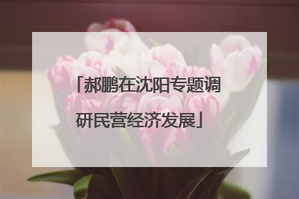 郝鹏在沈阳专题调研民营经济发展