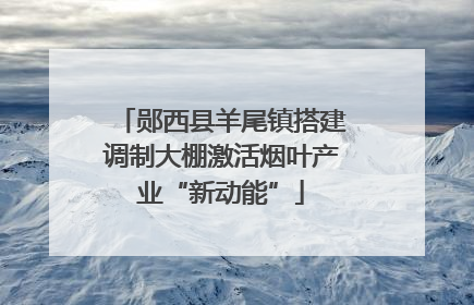 郧西县羊尾镇搭建调制大棚激活烟叶产业“新动能”
