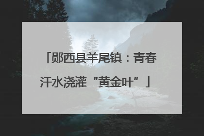 郧西县羊尾镇：青春汗水浇灌“黄金叶”