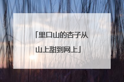 里口山的杏子从山上甜到网上
