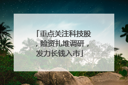 重点关注科技股，险资扎堆调研，发力长钱入市