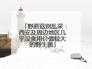 野蘑菇别乱采：西安及周边地区几乎没食用价值较大的野生菌