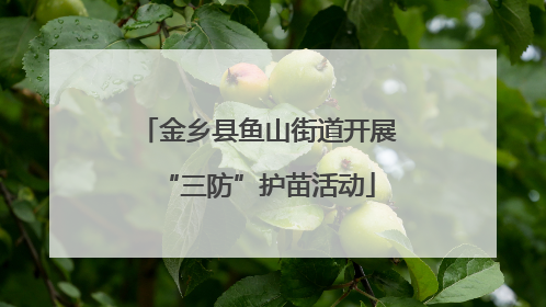 金乡县鱼山街道开展“三防”护苗活动