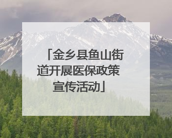 金乡县鱼山街道开展医保政策宣传活动