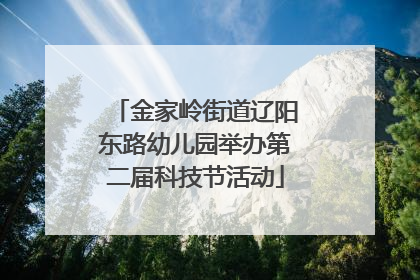 金家岭街道辽阳东路幼儿园举办第二届科技节活动