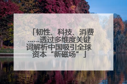 韧性、科技、消费……透过多维度关键词解析中国吸引全球资本“新磁场”
