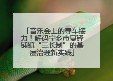音乐会上的寻车接力！解码宁乡市夏铎铺镇“三长制”的基层治理新实践
