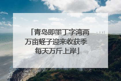 青岛即墨丁字湾两万亩蛏子迎来收获季 每天万斤上岸