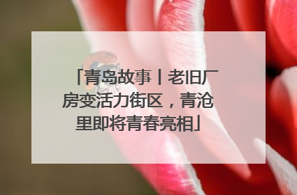青岛故事丨老旧厂房变活力街区，青沧里即将青春亮相