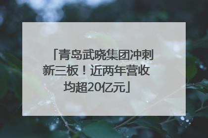 青岛武晓集团冲刺新三板！近两年营收均超20亿元