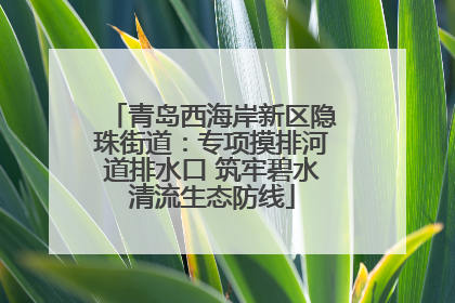 青岛西海岸新区隐珠街道：专项摸排河道排水口 筑牢碧水清流生态防线