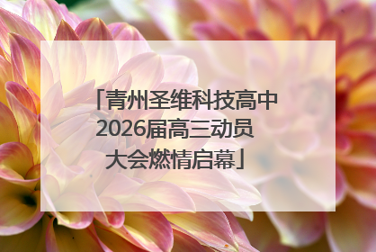 青州圣维科技高中2026届高三动员大会燃情启幕