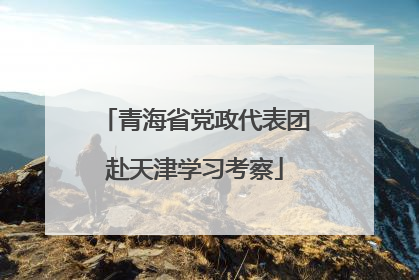 青海省党政代表团赴天津学习考察