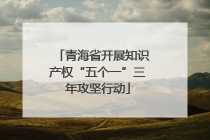 青海省开展知识产权“五个一”三年攻坚行动